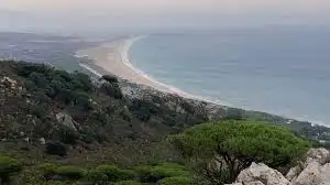 Vista exterior de Finca rústica en venta en Algeciras con Jardín privado
