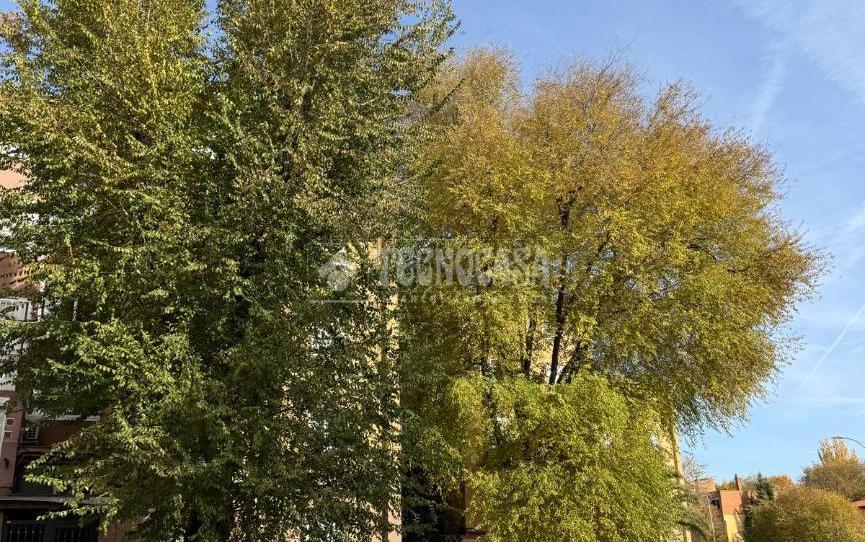 Photo 1 of Flat for sale in Arcos, Madrid