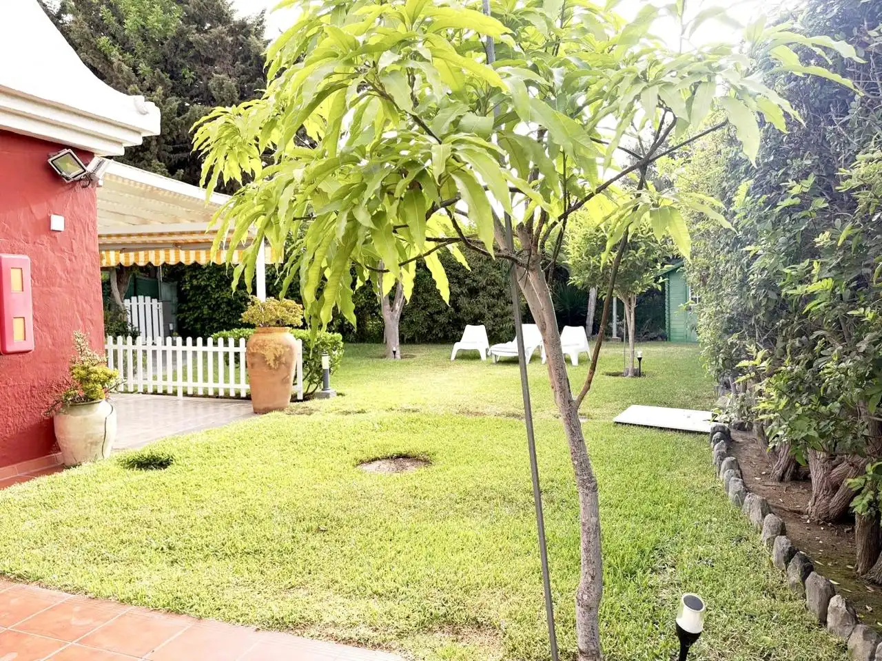 Garden of Houses for rent in Maspalomas - Meloneras
