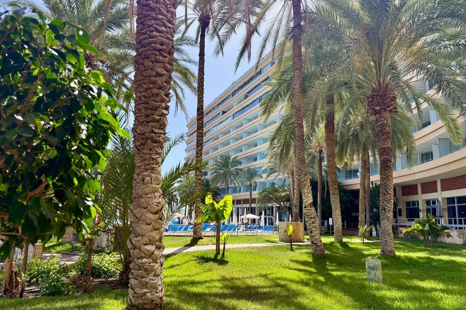 Swimming pool of Apartments for sale in Adeje  with Community pool