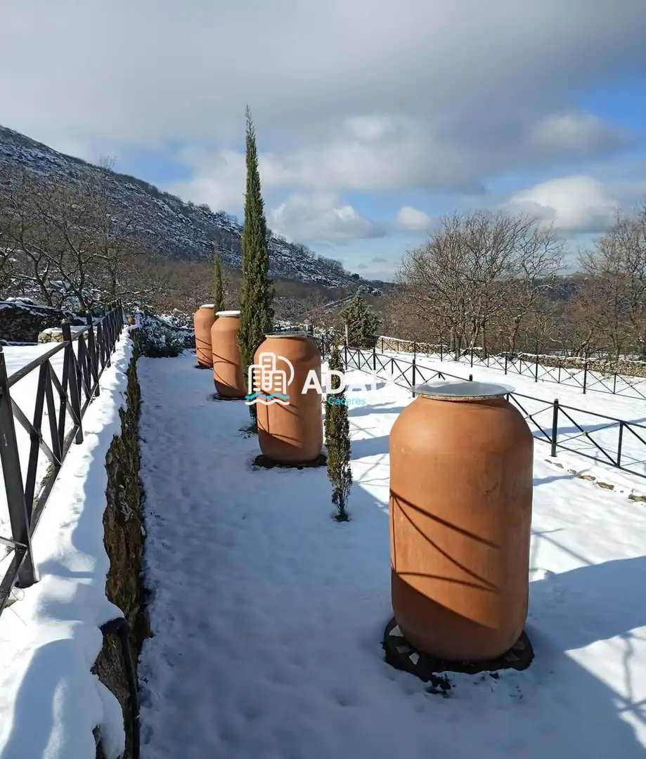 Jardín de Casa o chalet en venta en Montánchez con Terraza, Trastero y Piscina