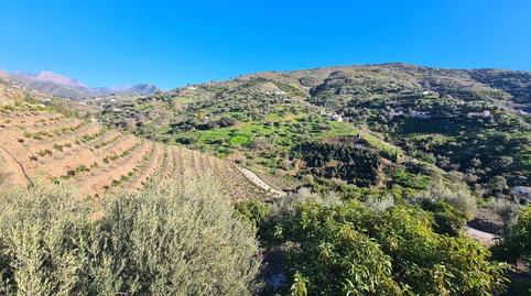 Foto 2 de Finca rústica en venda a Cómpeta, Málaga