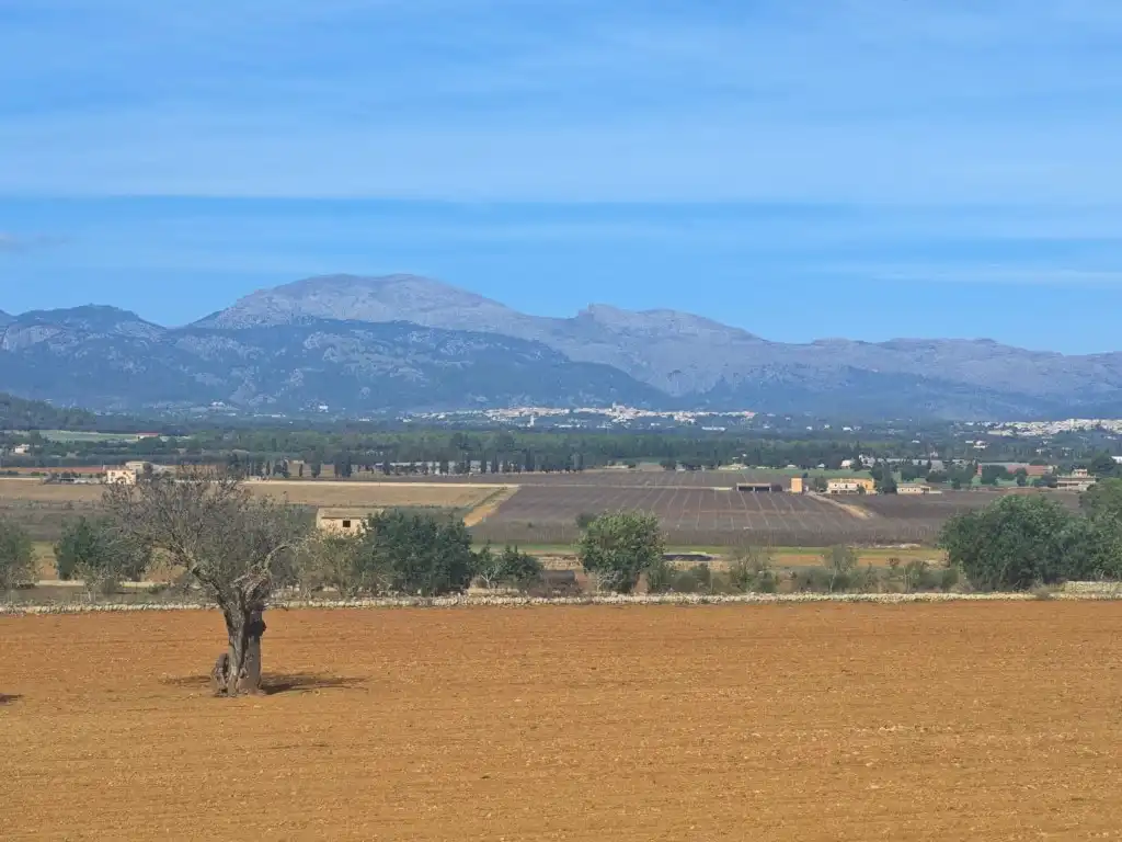 Country homes for sale in Zona Periurbana