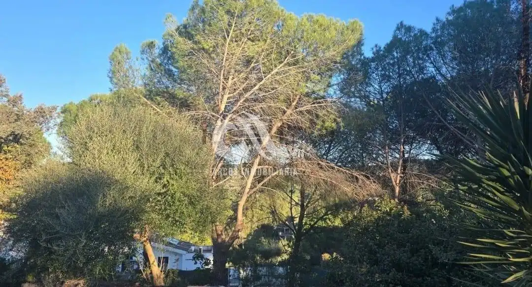Chalet en venta en Periurbano Oeste - Sierra, imagen 3