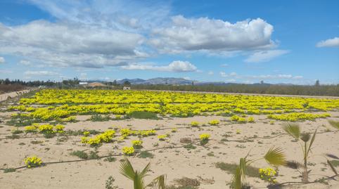 Photo 3 of Residential for sale in Los Arenales del Sol, Alicante