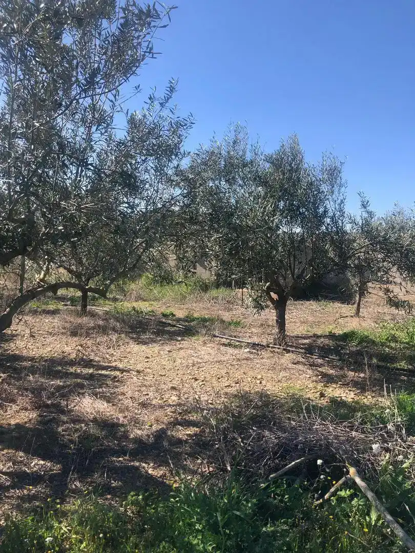 Finca rústica en venda en Olite / Erriberri