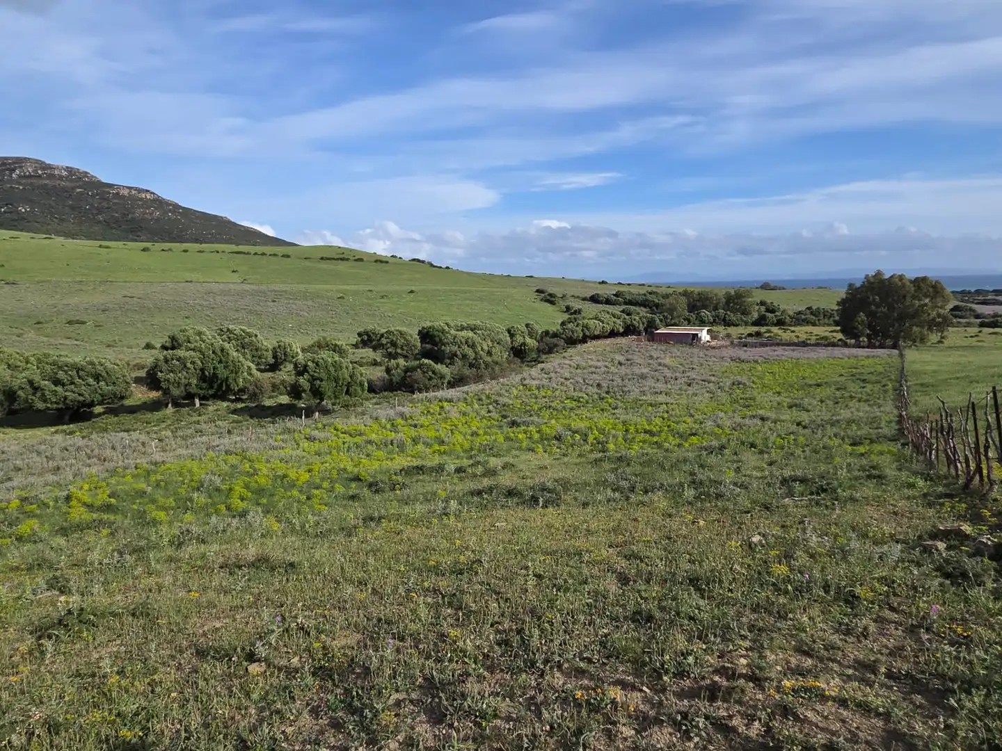 Terreno en venta en Tarifa