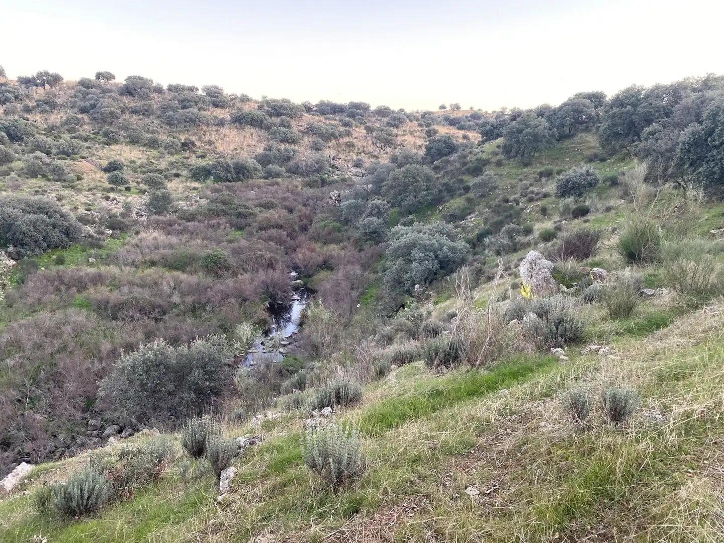 Terreni e lotti in vendita a Villar del Pedroso, imagen 21