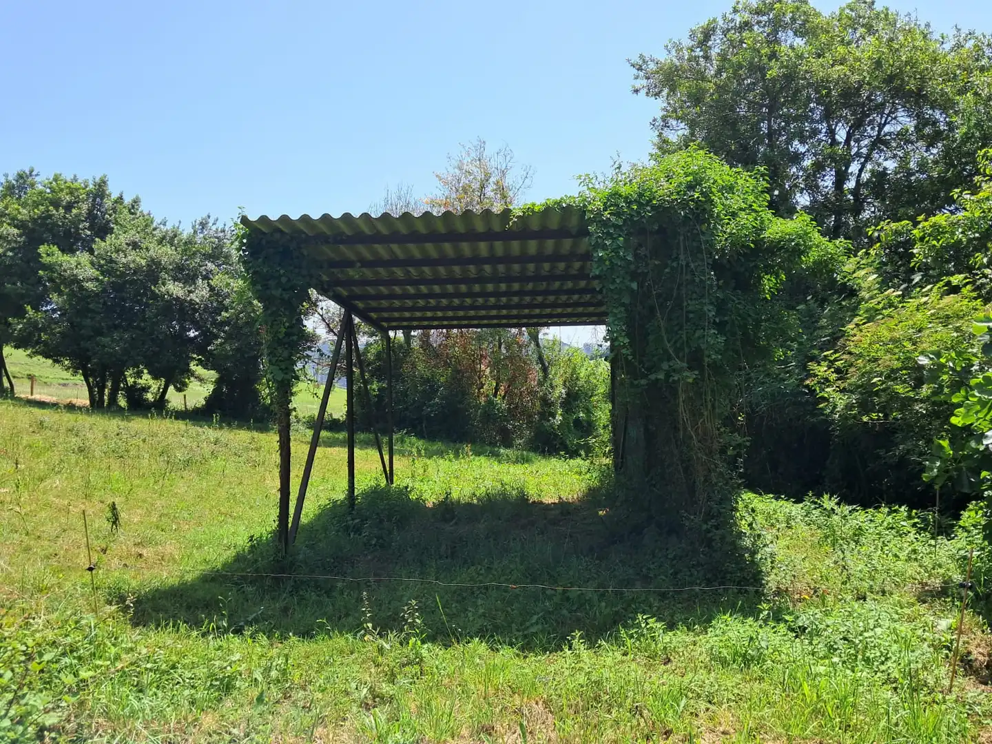 Residential for sale in Carreño