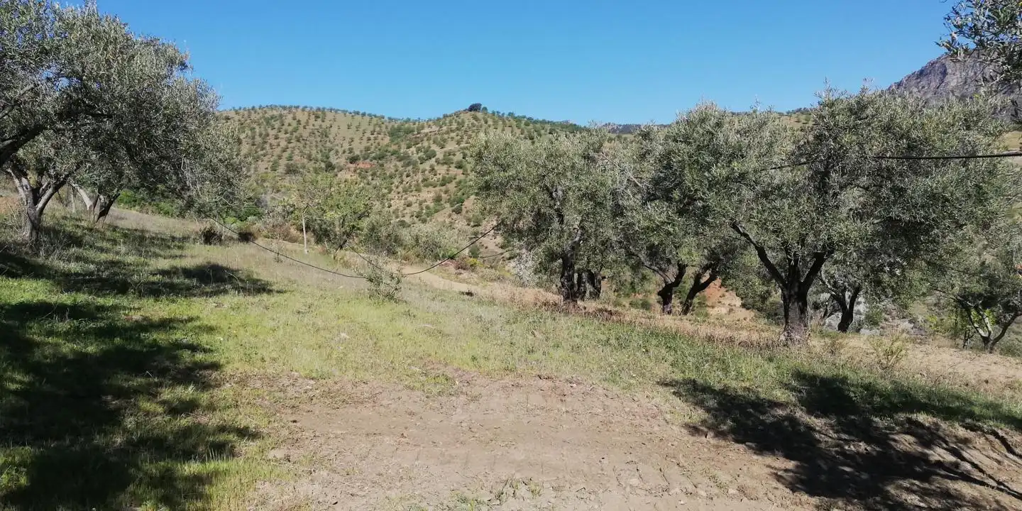 Casa rústica en venta en El Pinar, imagen 2
