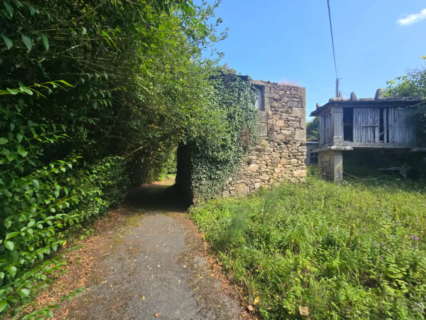 Vista exterior de Finca rústica en venta en Viveiro con Jardín privado y Trastero