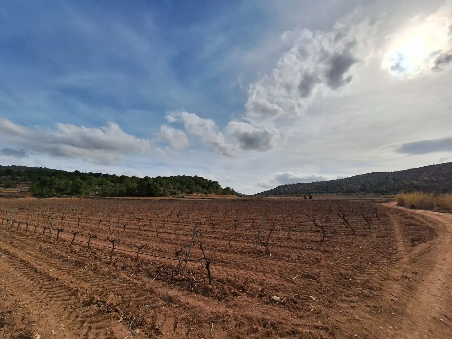 Residential land for sale in El Pinós / Pinoso, imagen 4