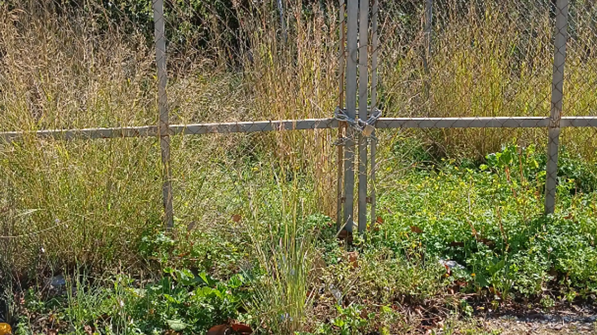 Jardín de Terreno en venta en Polop