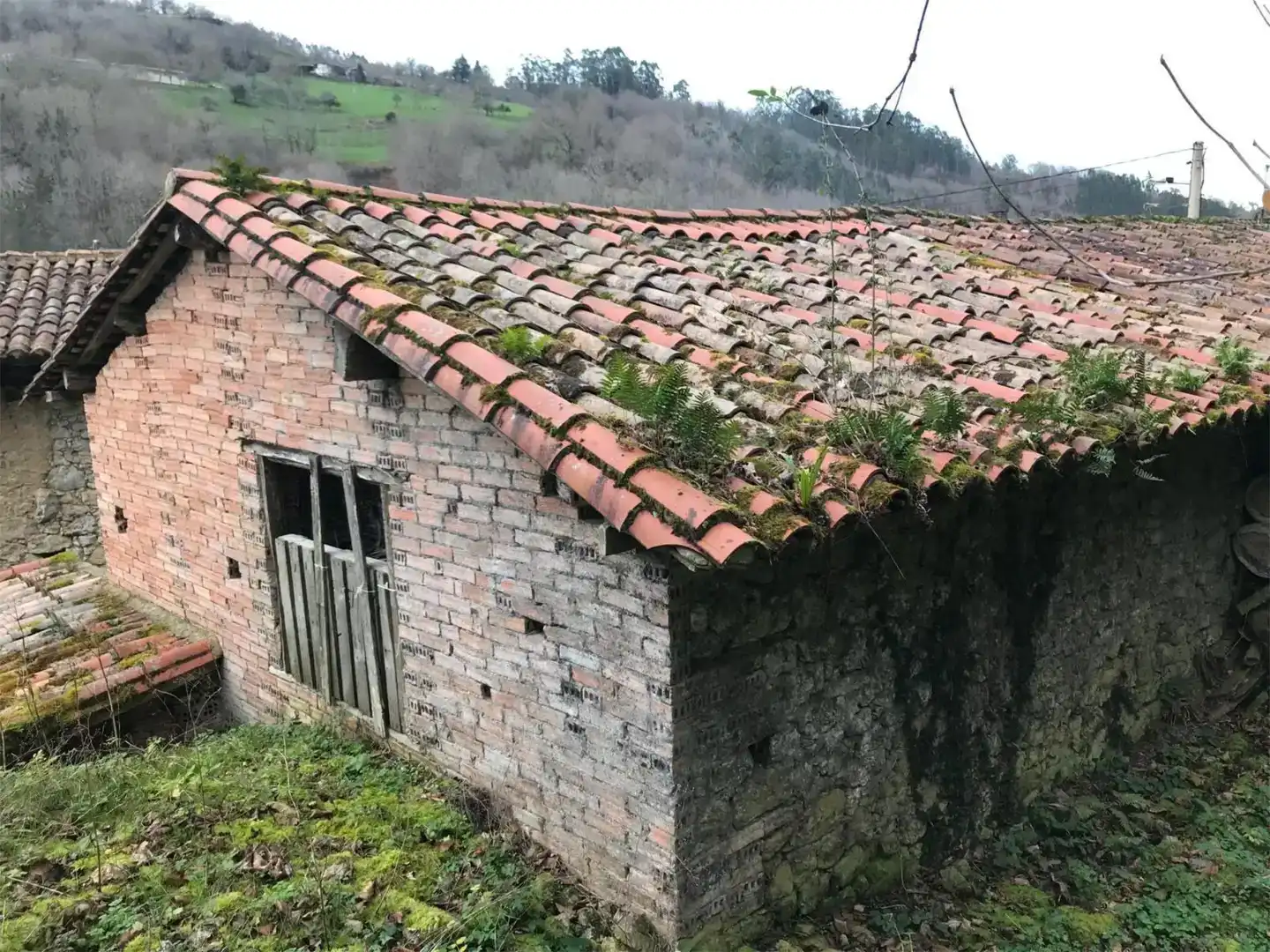 Vista exterior de Finca rústica en venda en Piloña