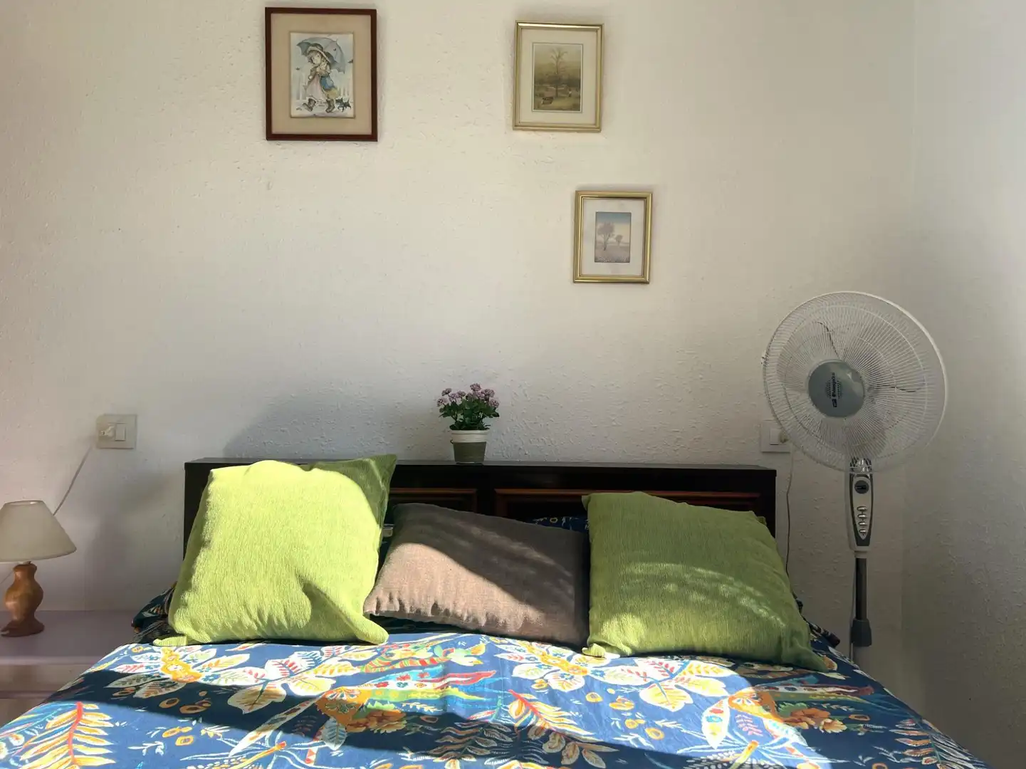 Reihenhaus zum Verkauf in Sant Pere Pescador, imagen 39