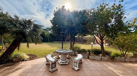 Foto 3 de Finca rústica en venda a Pedreguer, Alicante