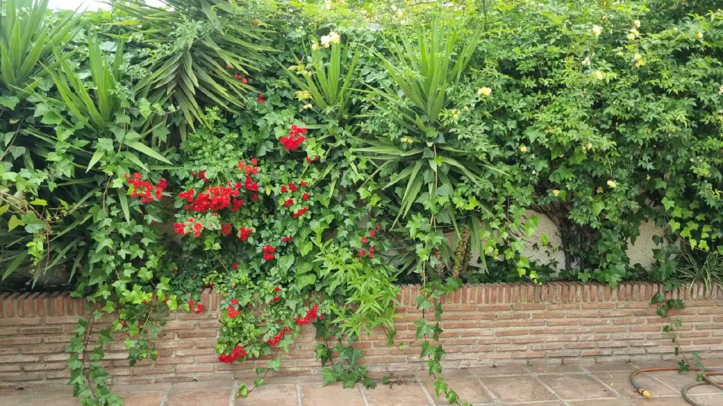 Garden of Houses for sale in Cabra