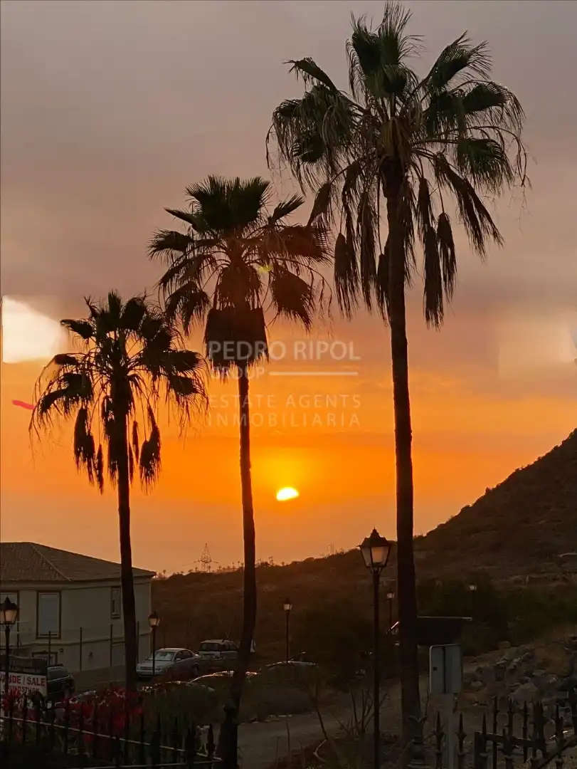 Vista exterior de Casa o chalet en venta en Arona con Jardín privado, Terraza y Horno