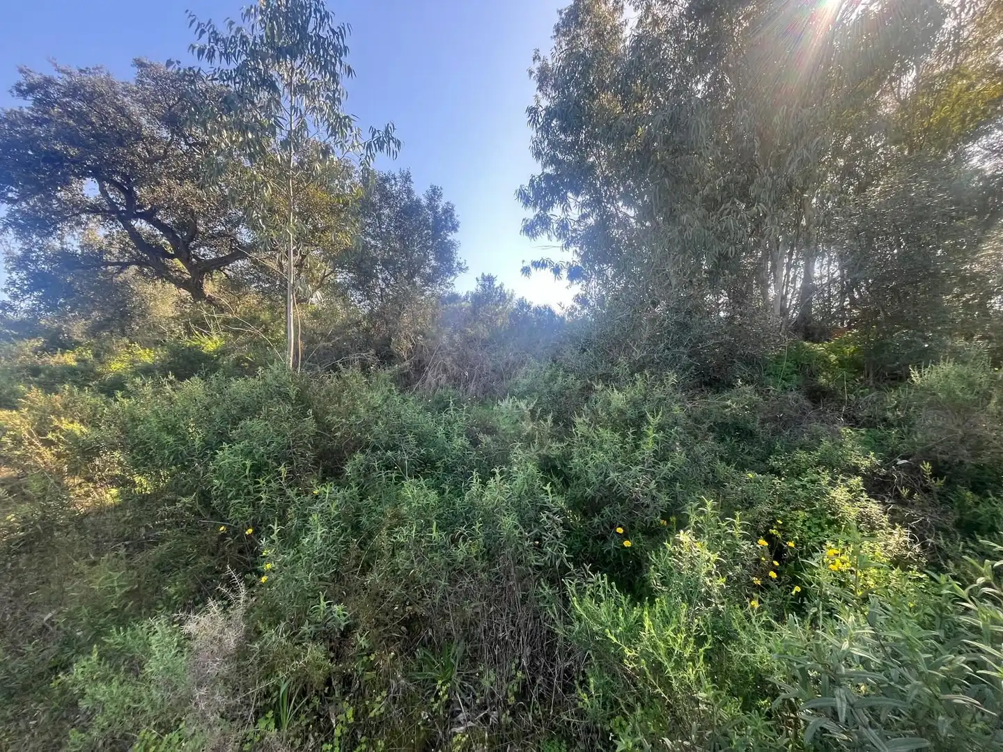 Residencial en venda en Gibraleón