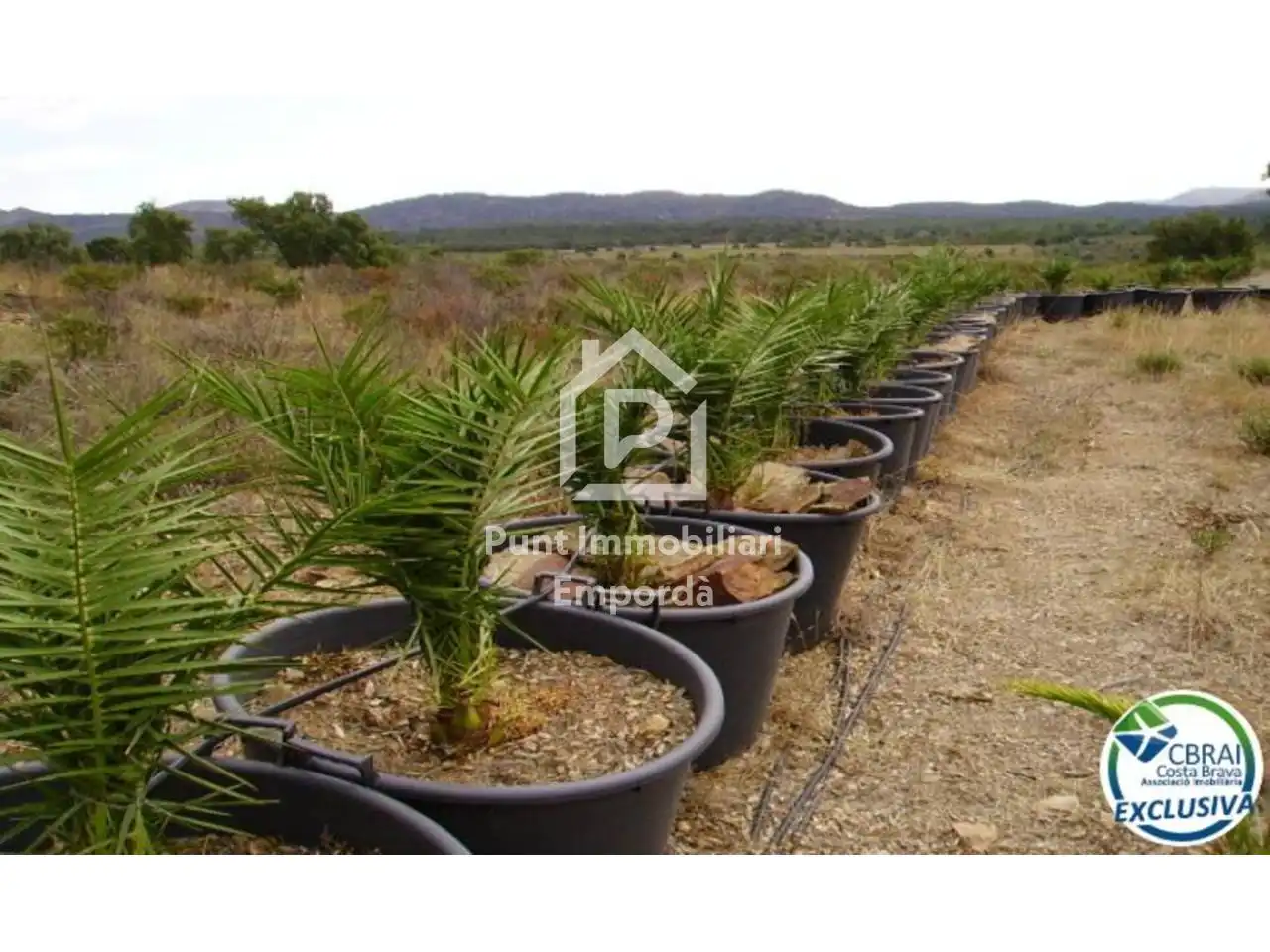 Terreny rústic en venda a Polígono Butaros 181, imagen 2