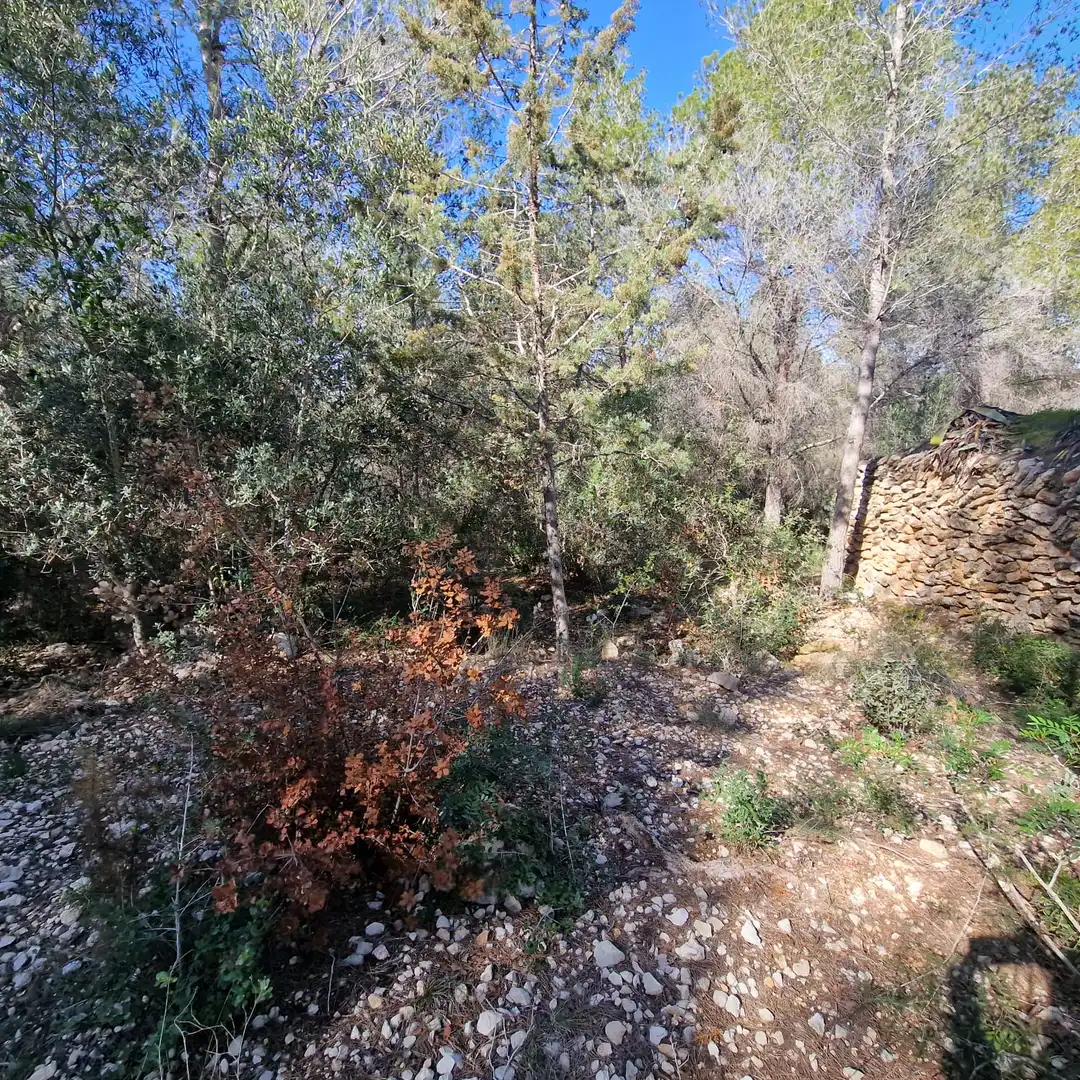 Terreno residencial en venta en Carrer Gessamí 18, imagen 21
