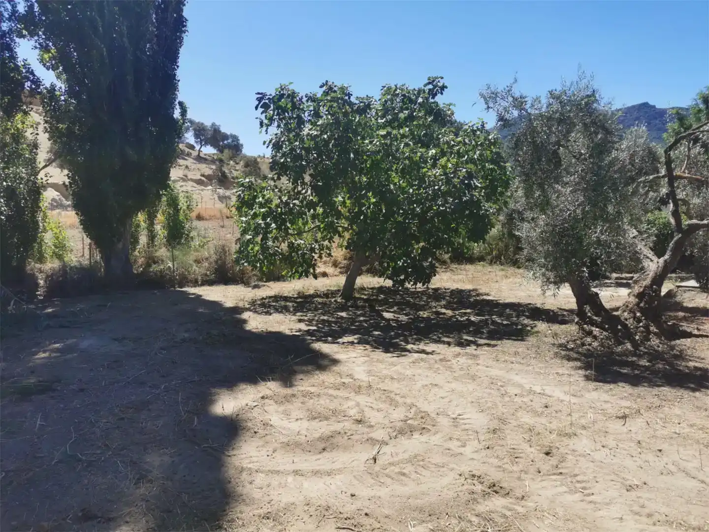 Casa o xalet en venda en Olvera amb Aire condicionat, Jardí privat i Traster
