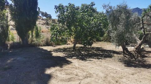 Foto 2 de Casa o xalet en venda a Diseminado Cortijo Chico, 1, Olvera, Cádiz