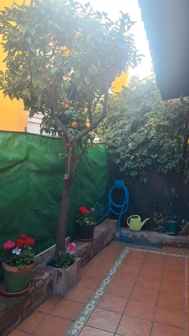 Adosado con terraza en venta en San Pedro de Alcántara, imagen 14