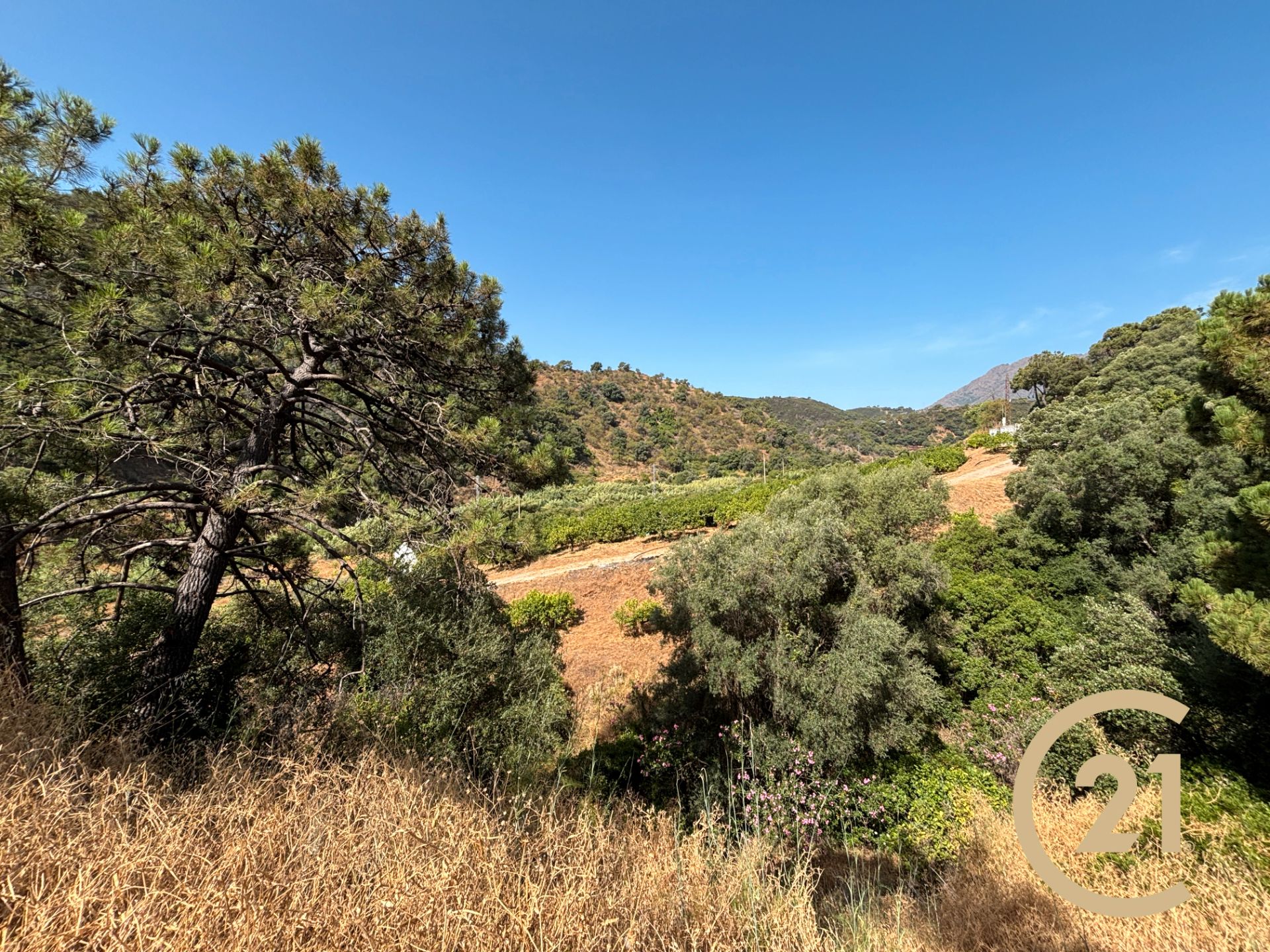 Terreno en venta en Estepona