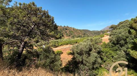 Foto 2 de Terreny en venda a Municipio Rio Padron, 20, Altos de Estepona, Estepona