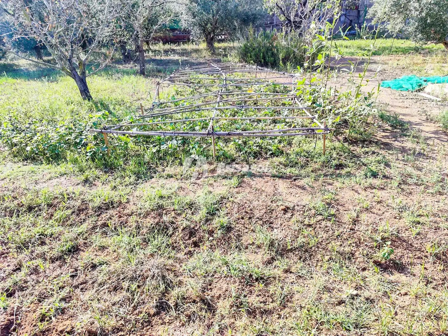 Wohnbaugrundstück zum Verkauf in Llevant, imagen 21