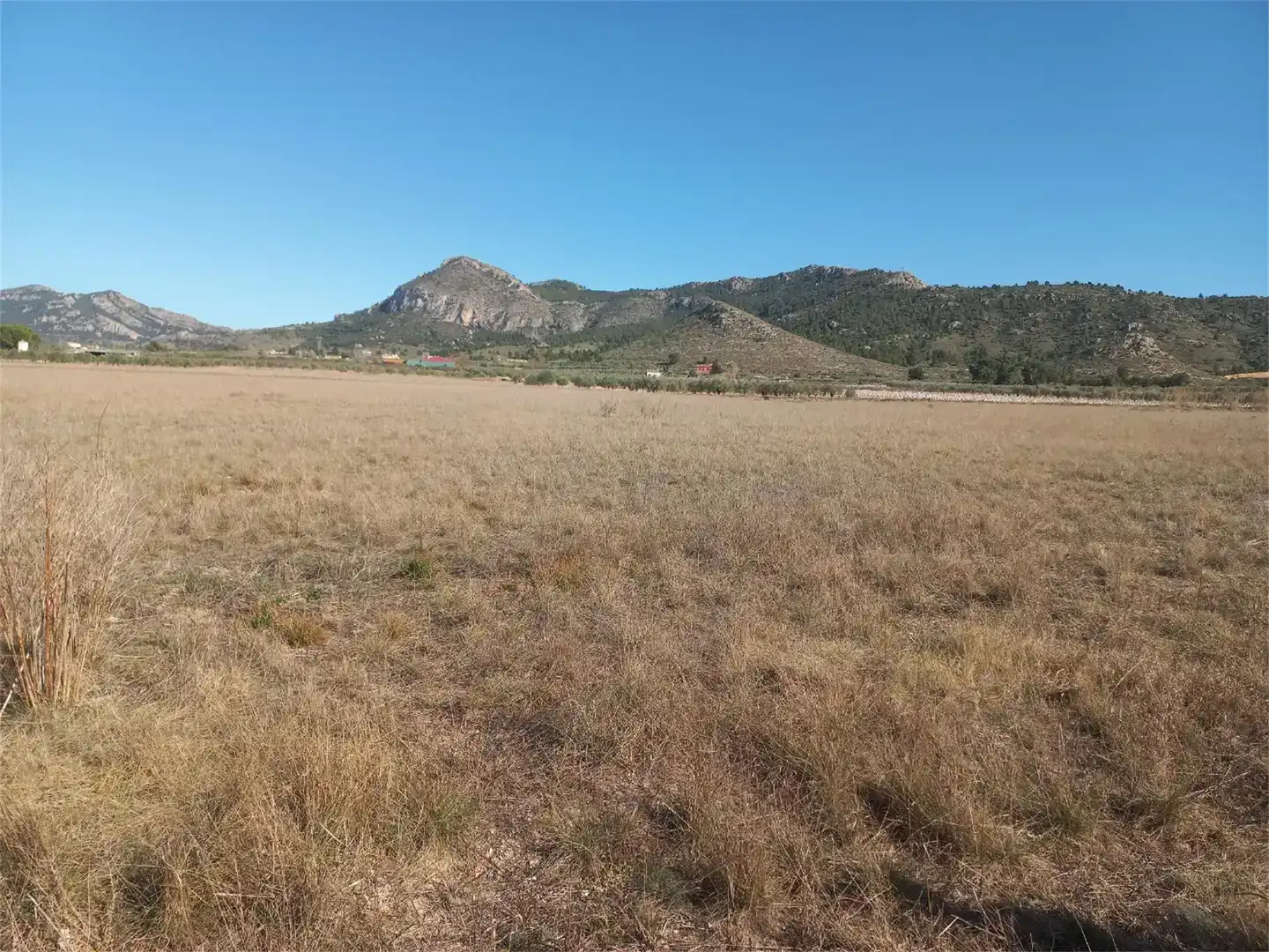 Terreno en venta en Bonete