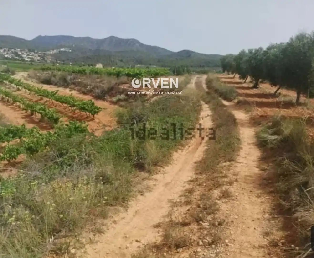 Rural land for sale in Carretera T-240 s/n