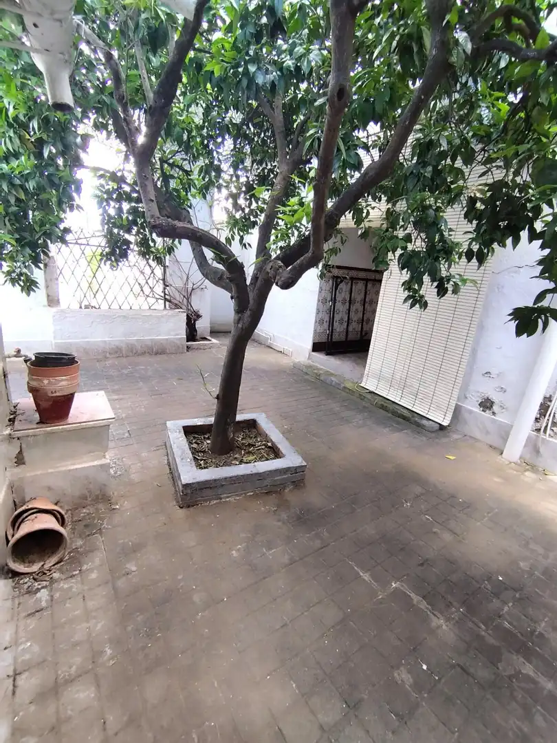 Jardín de Casa o chalet en venta en El Ronquillo