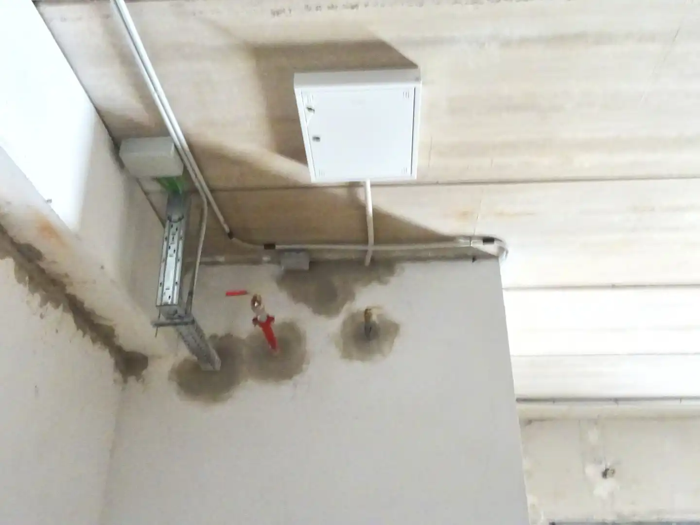 Gewerbefläche zur Miete in San Isidro Labrador, imagen 8