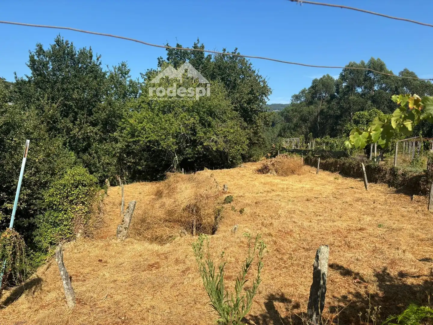 Houses for sale in Arbo