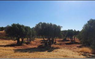 Residencial en venda en Buenache de Alarcón