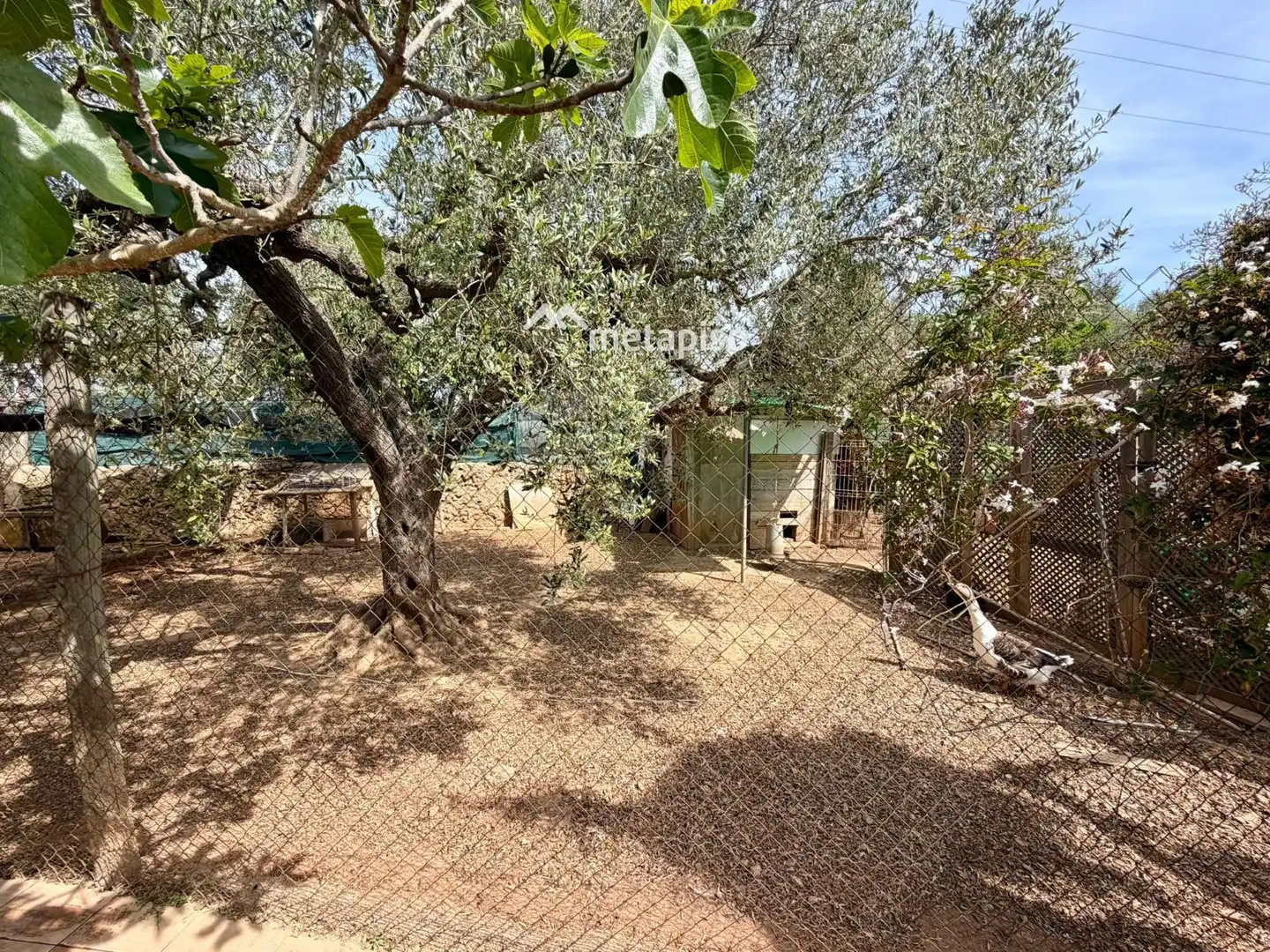 Terreno rustico in vendita a Santa Oliva, imagen 52