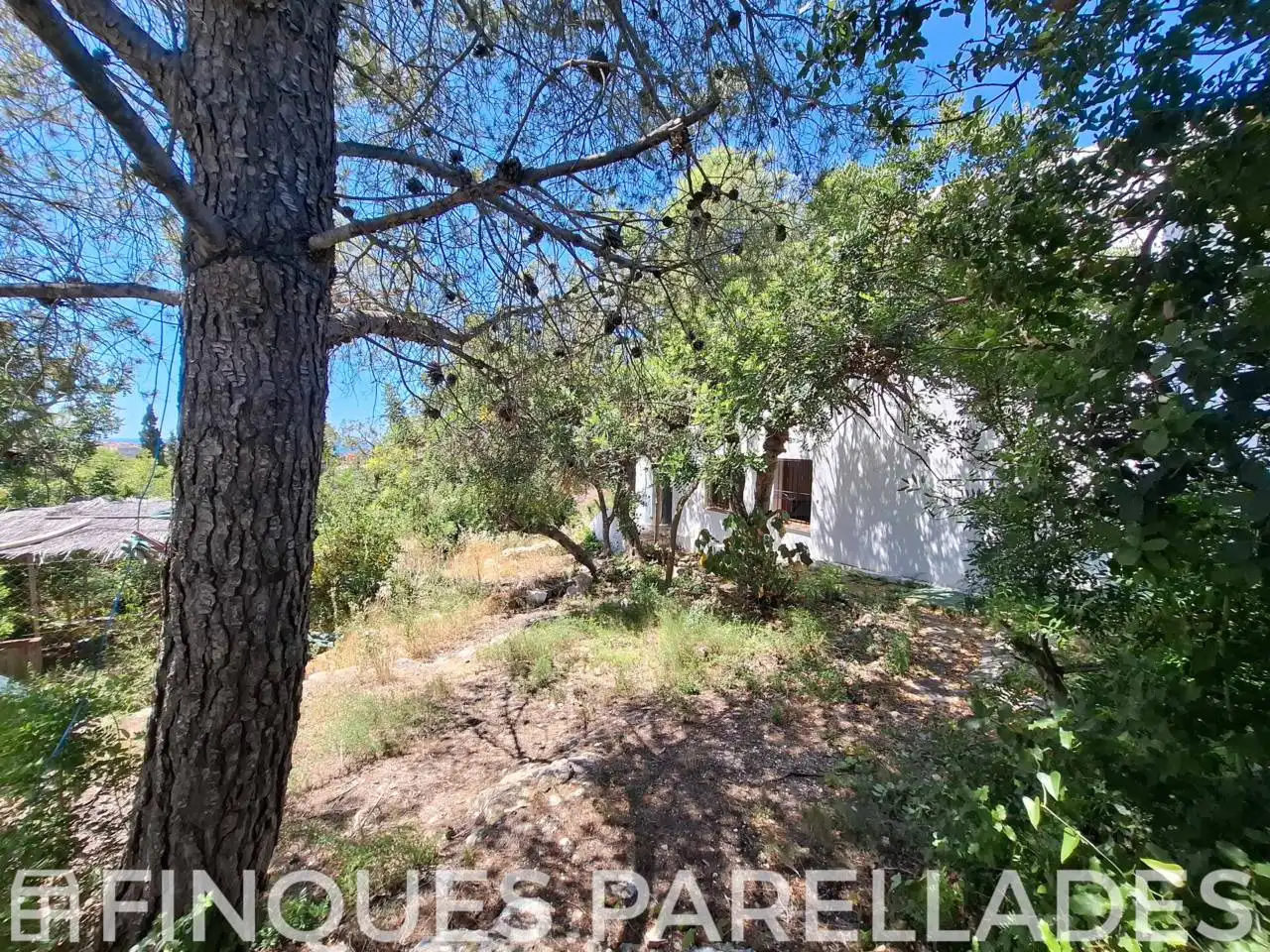 Casa o chalet en venta en Sitges con Jardín privado y Terraza