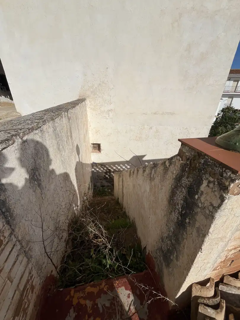 Vista exterior de Finca rústica en venda en Málaga
