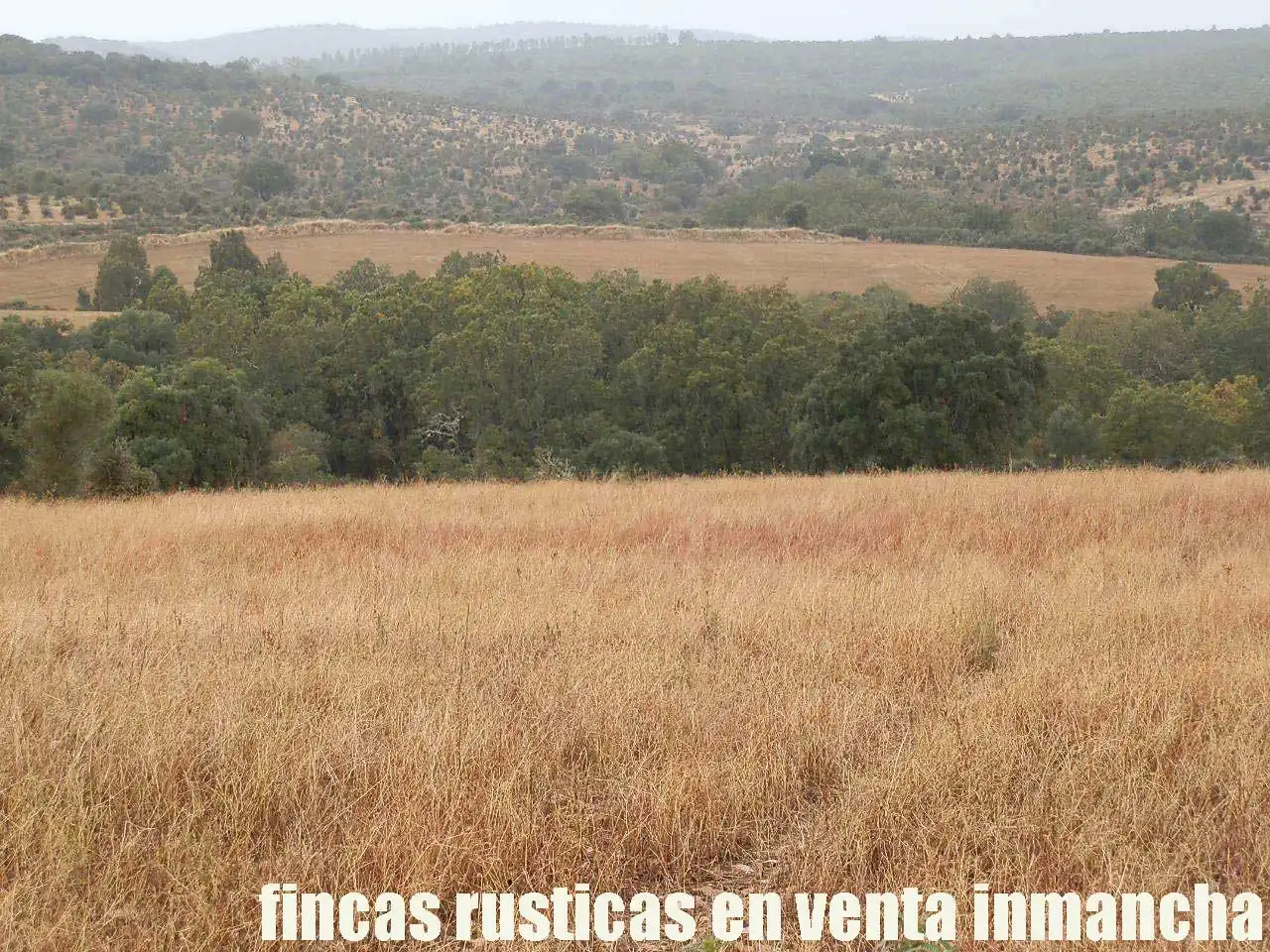 Land for sale in Abenójar