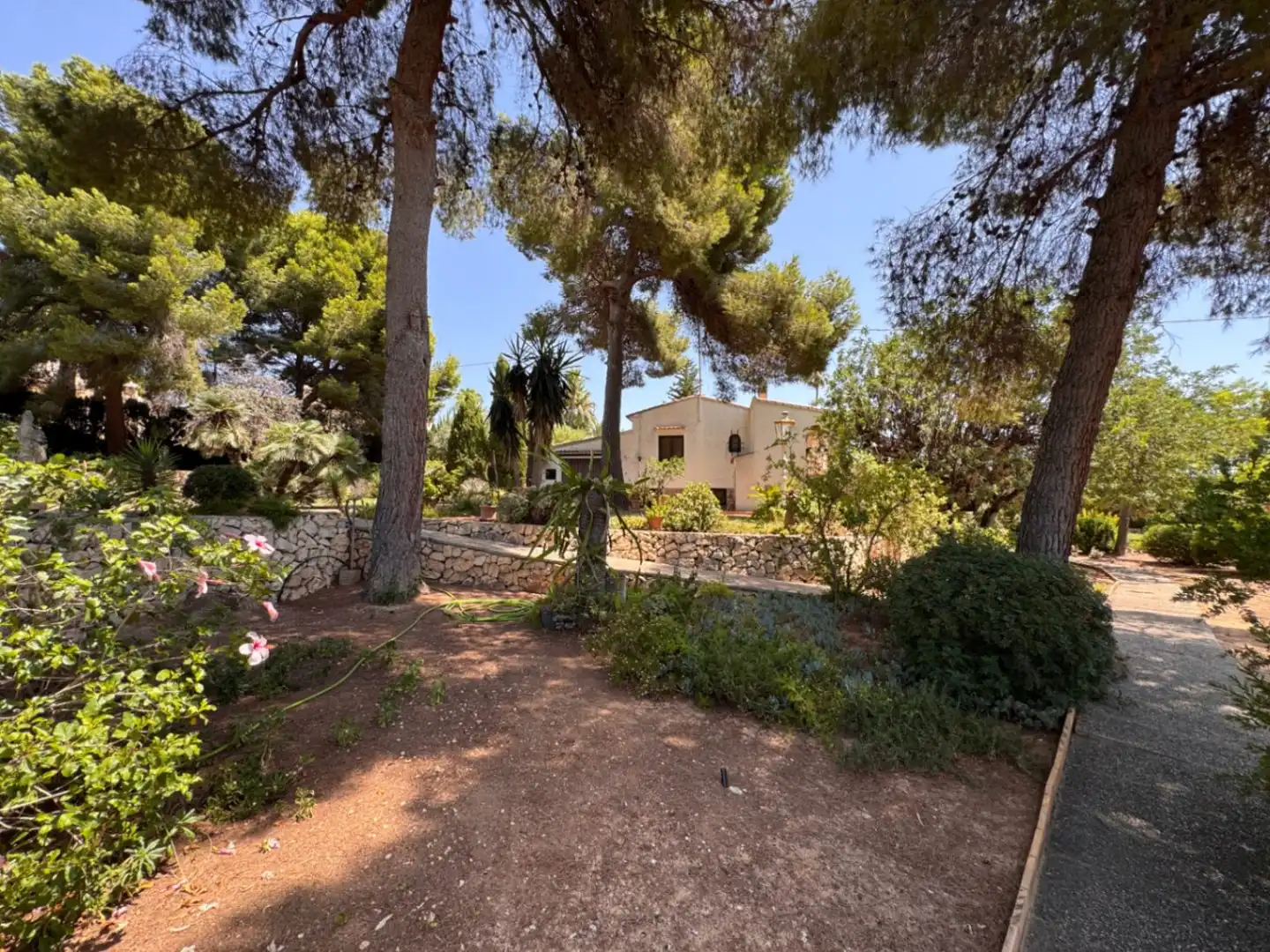 Villa con piscina in vendita a Cala Advocat - Baladrar, imagen 13