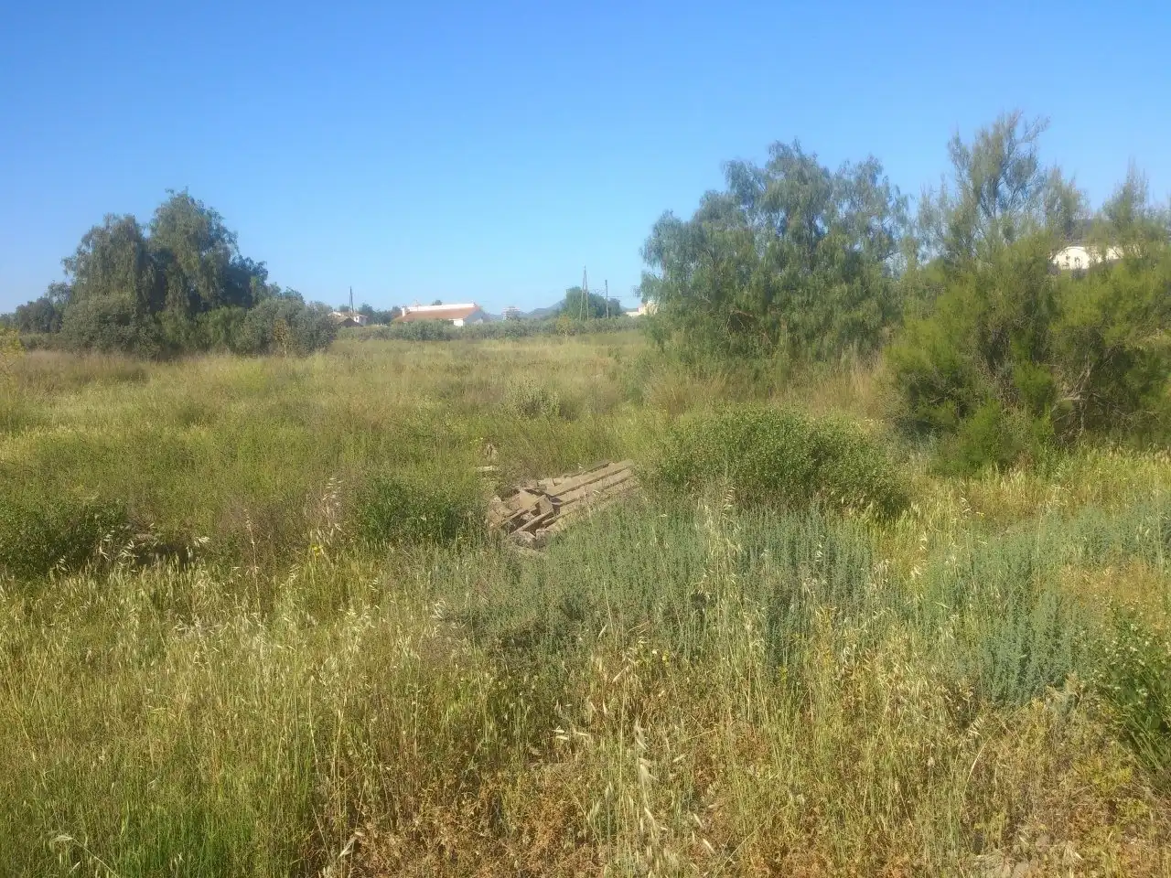 Terreno residencial en venta en Lorca Ciudad, imagen 3