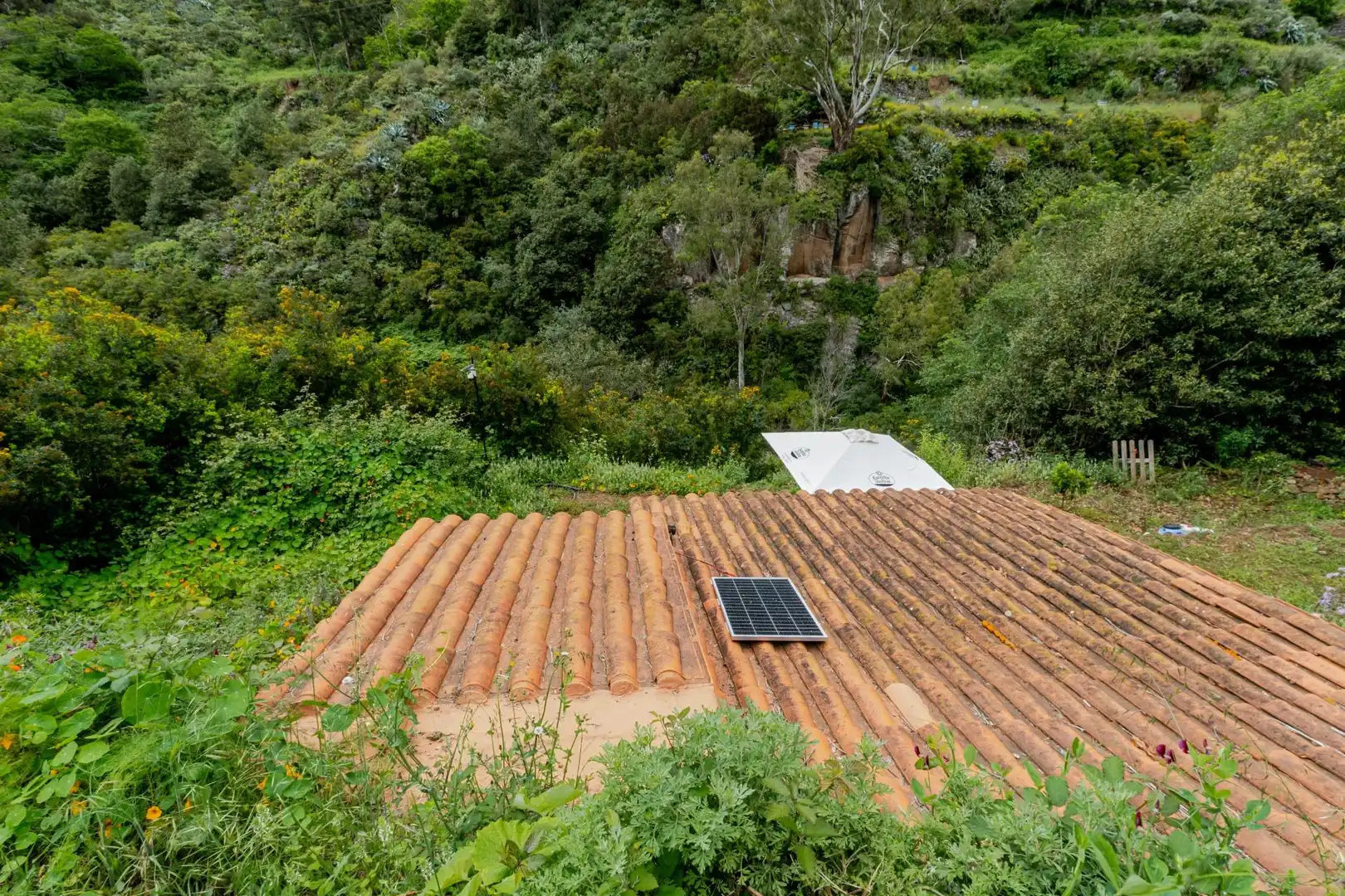 Garden of Land for sale in Teror