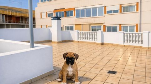 Foto 5 de Pis en venda a Guanarteme, Las Palmas de Gran Canaria