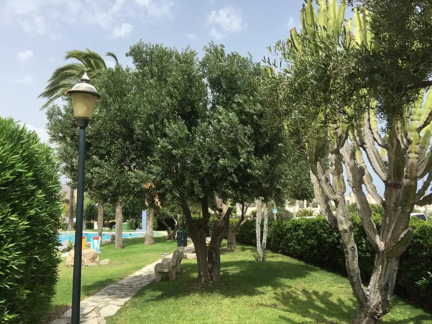 Garden of Flat for sale in El Campello  with Private garden, Terrace and Balcony