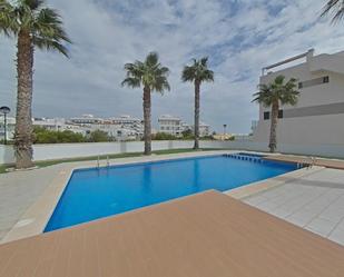 Swimming pool of Flat to rent in Orihuela  with Swimming Pool