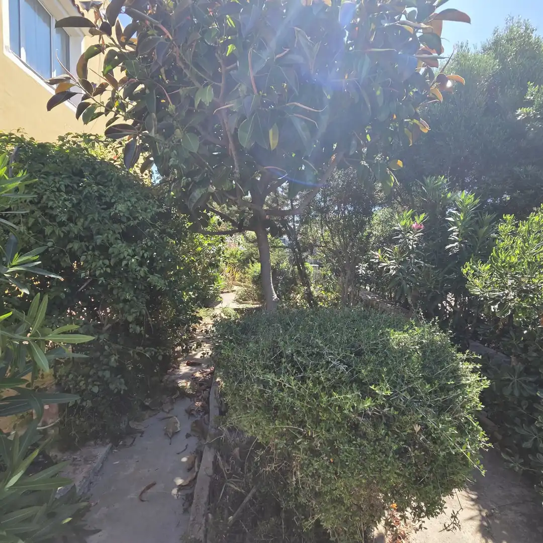 Jardí de Casa o xalet en venda en Ciutadella de Menorca amb Jardí privat, Terrassa i Moblat