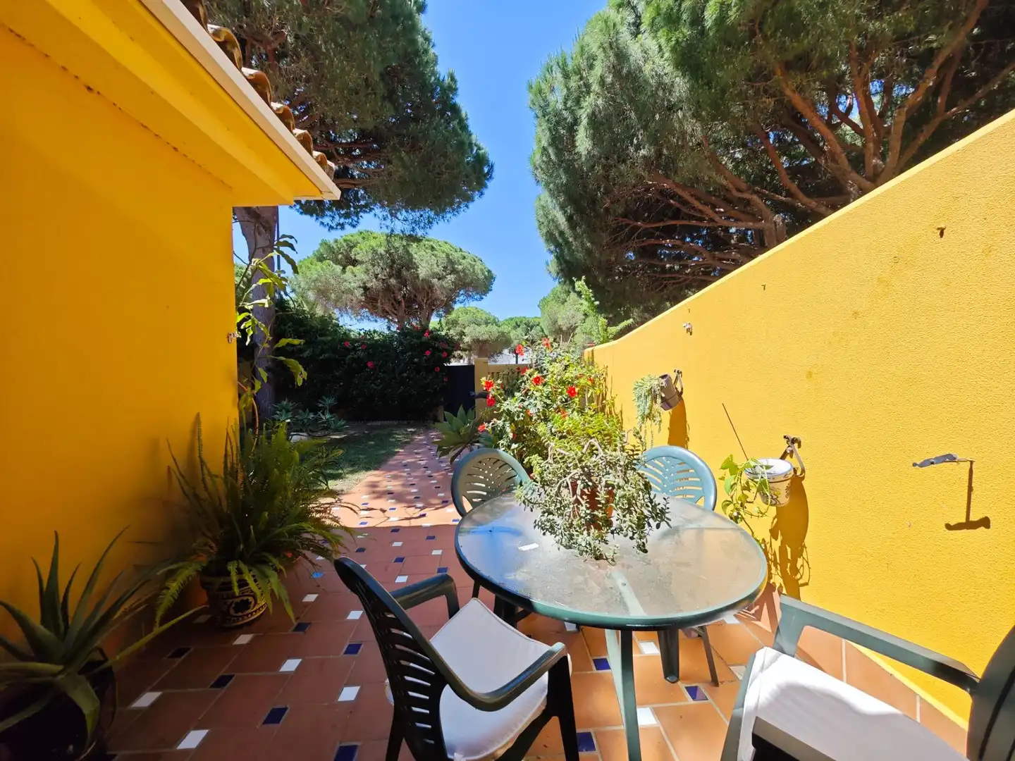 Jardí de Casa o xalet en venda en Chiclana de la Frontera amb Calefacció, Piscina i Moblat