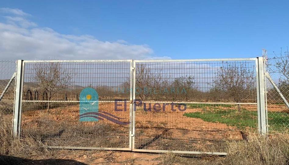 Foto 1 de Terreny en venda a La Magdalena - Molinos Marfagones, Murcia